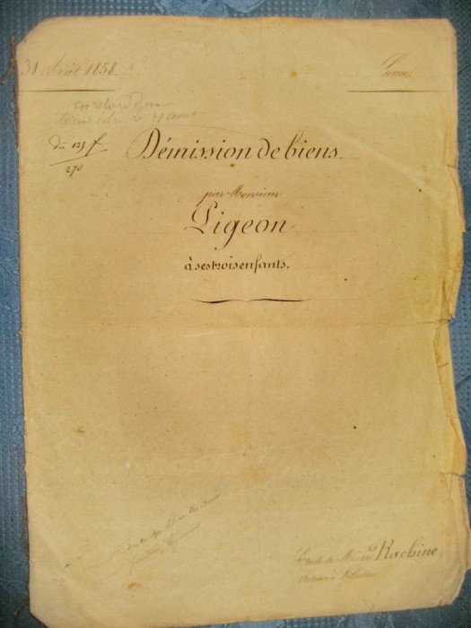 B95-I-Act vechi 1858-Demission de biens Napoleon imparat Franta. Coperta carton cu 8 pagini interior, total 10.