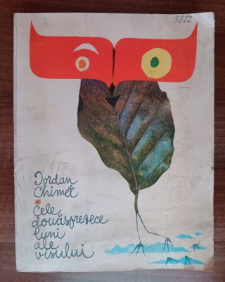 myh 107 - Iordan Chimet - Cele douasprezece luni ale visului - ed 1972 foto