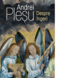 Despre ingeri - Andrei Plesu