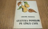 CULTURA POMILOR PE LINGA CASA - Grigore Mihaescu - Editura Ceres, 1982, 290 p., Alta editura