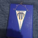 Fanion C S Farul Constanta