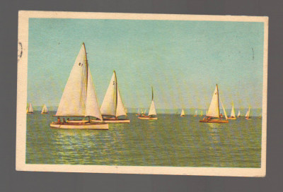 CPIB 20874 - CARTE POSTALA - LACUL BALATON, BALATONROL, , BUDAPESTA foto