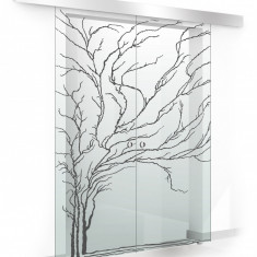 Usa culisanta Boss ® Duo model Tree negru, 85+85x215 cm, sticla Gri securizata, glisanta in ambele directii
