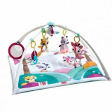 Centru de joaca Tiny Princess Tales, GyminiI Deluxe, Tiny Love