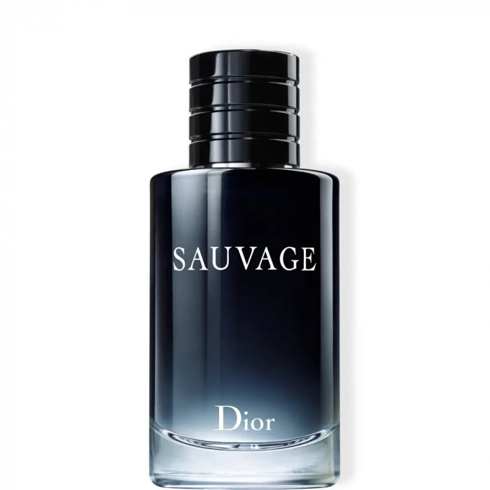 Dior Sauvage &ndash; Eau de Parfum, 100ml