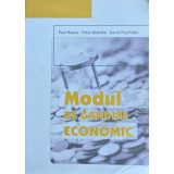 Modul de gandire economic