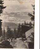 CPI B 11168 CARTE POSTALA - CABANA POSTAVARUL. VEDERE SPRE PIATRA CRAIULUI, Circulata, Fotografie