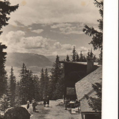 CPI B 11168 CARTE POSTALA - CABANA POSTAVARUL. VEDERE SPRE PIATRA CRAIULUI