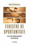 Ferestre de oportunitate. Cum se imbogatesc natiunile - David Sainsbury