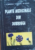 Plante medicinale din Dobrogea Ardelean/ Nedelcu
