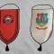 Clubul sportiv scolar Timisoara Fanion vechi RSR anii 1970, dimensine 30 x 18 cm