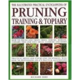 ILLUSTRATED PRACTICAL ENCYCLOPEDIA OF PRUNING TRAINING &amp; TOPIARY