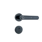 Clanta smart SYDNEY Black cu amprenta, PIN, RFID, Bluetooth si WiFi