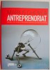 Antreprenoriat. Drumul de la idei catre oportunitati si succes in afaceri &ndash; Marius Ghenea