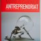 Antreprenoriat. Drumul de la idei catre oportunitati si succes in afaceri &ndash; Marius Ghenea
