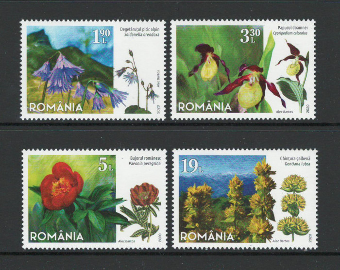 Romania 2020 - LP 2296 nestampilat - Flori, Flora protejata din Romania - serie