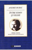 Intre somn si veghe - Andrei Burac