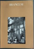 CATALOG EXPOZITIE RETROSPECTIVA CONSTANTIN BRANCUSI / GUGGENHEIM, NEW YORK 1969 (SIDNEY GEIST) [LIMBA ENGLEZA / 164 pag. format 19,7/28 cm]
