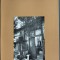 CATALOG EXPOZITIE RETROSPECTIVA CONSTANTIN BRANCUSI / GUGGENHEIM, NEW YORK 1969 (SIDNEY GEIST) [LIMBA ENGLEZA / 164 pag. format 19,7/28 cm]