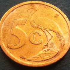 Moneda 5 CENTI - AFRICA de SUD, anul 2006 *cod 78 C = AFRIKA BORWA
