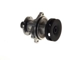 Pompa apa BMW X3 (E83) (2004 - 2011) THERMOTEC D1B018TT