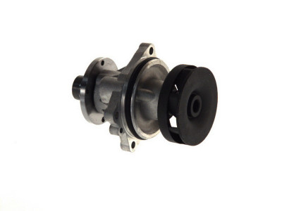 Pompa apa BMW X3 (E83) (2004 - 2011) THERMOTEC D1B018TT foto