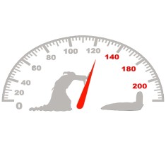 Sticker auto , Viteza ucide