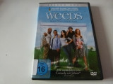 Weeds -seria 1, Actiune, DVD, Engleza