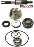 Kit pompa apa Honda Chiocciola - SH 4T LC 125-150cc, Oem