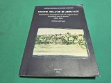 Carte Rromii. Sclavie și Libertate - Petre Petcuț, 2016, Editura Centrului Național de Cultura a Romilor
