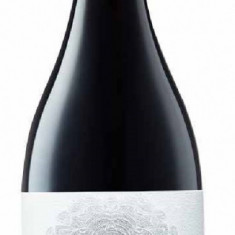 Vin rosu - Tortuga, Cabernet Sauvignon, Syrah, Feteasca Neagra, sec, 2017 | Crama Rasova