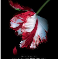 Lună nouă (Vol. 2) - Hardcover - Stephenie Meyer - Paladin