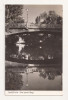 RF32 -Carte Postala- Timisoara, pod peste Bega, necirculata
