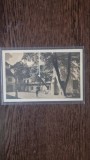 Carte Postala - Sibiu. Curtea Sfatului