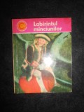 Gheorghe Marin - Labirintul minciunilor