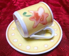 SET CAFEA CEASCA CAFEA ESPRESSO CU FARFURIE PORTELAN HUTSCHENREUTHER VIVA ALEO