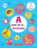 A este de la&amp;#8230; Animale (7 ani+). Exersează scrierea, colorează, unește punctele și află informații despre animale