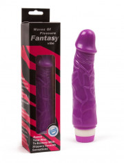 Vibrator Fantasy foto