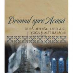 Danion Vasile - Drumuml spre acasa dupa desfrau, droguri, yoga si alte rataciri (editia 2009)