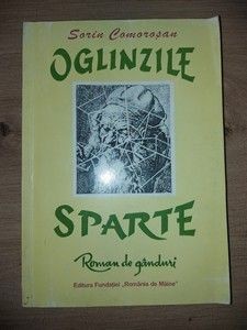 Oglinzile sparte- Sorin Comorosan foto