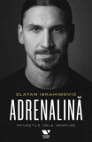 Adrenalina. Povestile mele nespuse/Zlatan Ibrahimovic