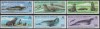 ANTARCTICA BRITANICA - 1982 - FOCI, Fauna, Nestampilat