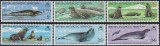 ANTARCTICA BRITANICA - 1982 - FOCI, Fauna, Nestampilat