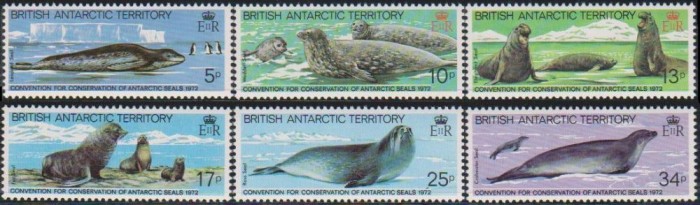 ANTARCTICA BRITANICA - 1982 - FOCI