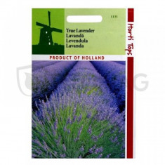 Lavanda Lavendula angustifolia 0.25 gr