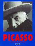 Carsten-Peter Warncke - Pablo Picasso ( lb.germana )