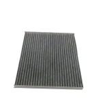 Filtru polen carbon, habitaclu Hyundai Grand Santa Fe, Santa Fe 3 (Dm) Aster
