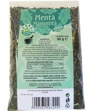 Menta Maruntita 30gr Herbavit Cod: herb01045 foto