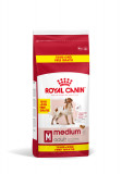 Royal Canin Medium Adult hrana uscata caine, 15+3 kg