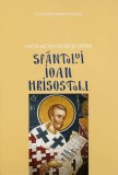 Viața, activitatea și opera Sf&acirc;ntului Ioan Hrisostom - Hardcover - Stelianos Papadopoulos - Bizantină